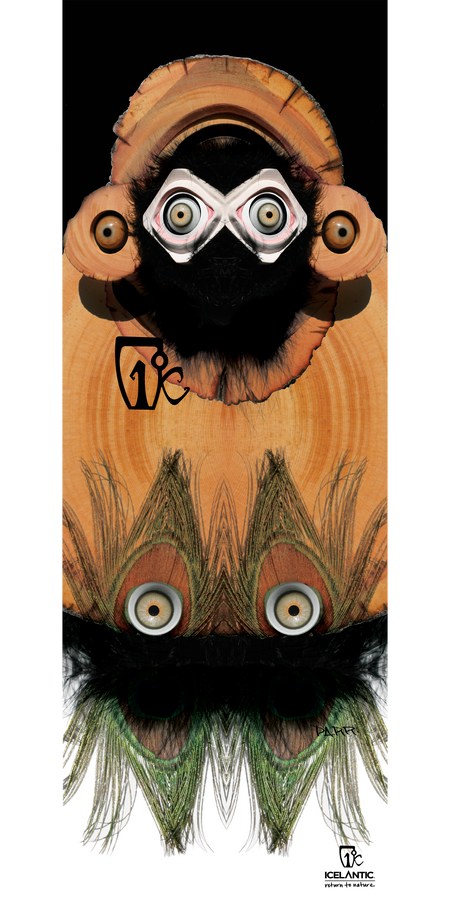The 13/14 Scout Fine Art Print by Icelantic showcases an abstract face-like figure with wide eyes, a furry black and orange hood, and textured, feather-like patterns below. Available as either a fine art print or a wrapped canvas giclee print, this piece features the Icelantic Skis logo in the bottom right corner.