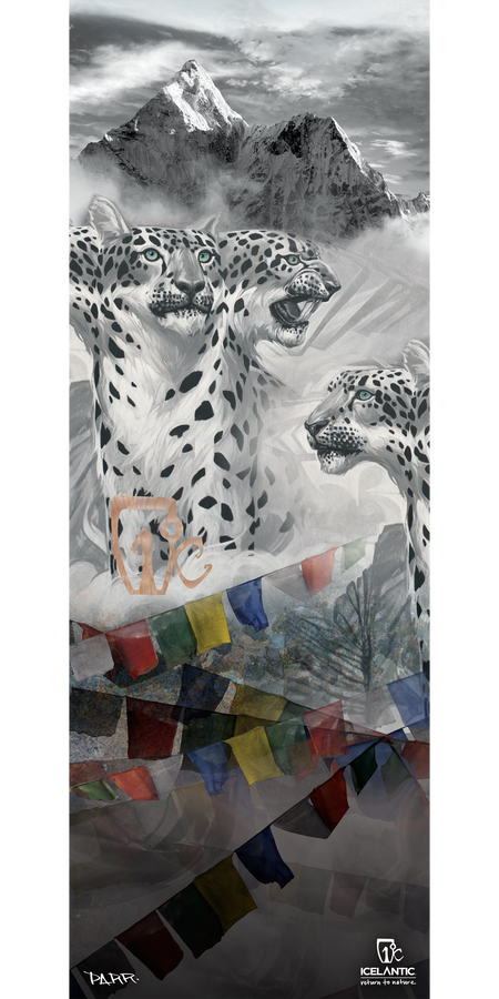 Three snow leopards gather before snowy mountains, with vivid prayer flags adding a splash of color to the grayscale scene. Featuring artistic accents and a subtle signature at the bottom, the 15/16 Nomad Fine Art Print by Icelantic is perfect for those seeking striking fine art. Ideal for display as a wrapped canvas or giclee print, this print brings elegant style to any space.