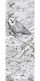 A snowy owl with bright yellow eyes perches on a snow-covered branch, seamlessly blending into a tranquil winter landscape of white trees—a serene moment beautifully captured in the Icelantic 18/19 Mystic 97 Fine Art Print, available as exquisite wrapped canvas or giclee art prints.