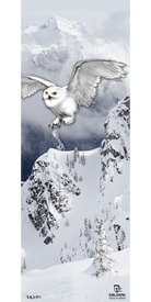 Introducing the Icelantic 18/19 Natural 101 Fine Art Print, which features a beautifully illustrated white owl with outstretched wings soaring above a snowy mountain landscape adorned with pine trees and rugged cliffs. Misty clouds drift over snow-covered peaks in the background, making this fine art print a stunning way to bring the serene beauty of winter wildlife into your home or space.