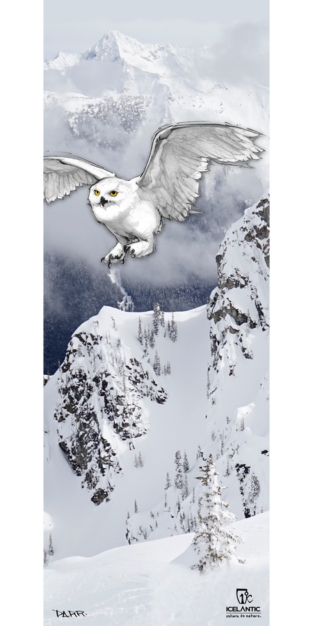 Introducing the Icelantic 18/19 Natural 101 Fine Art Print, which features a beautifully illustrated white owl with outstretched wings soaring above a snowy mountain landscape adorned with pine trees and rugged cliffs. Misty clouds drift over snow-covered peaks in the background, making this fine art print a stunning way to bring the serene beauty of winter wildlife into your home or space.