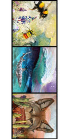 Three vibrant illustrations from Icelantic Skis—bees on flowers, a shark swimming near a dramatic ocean wave, and a coyote peeking over a fence beside cacti—are beautifully reimagined as the "19/20 Maiden Freeride Fine Art Print," bold fine art prints that add striking character to any space.