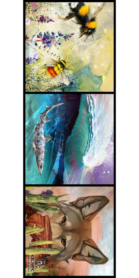 Three vibrant illustrations from Icelantic Skis—bees on flowers, a shark swimming near a dramatic ocean wave, and a coyote peeking over a fence beside cacti—are beautifully reimagined as the "19/20 Maiden Freeride Fine Art Print," bold fine art prints that add striking character to any space.