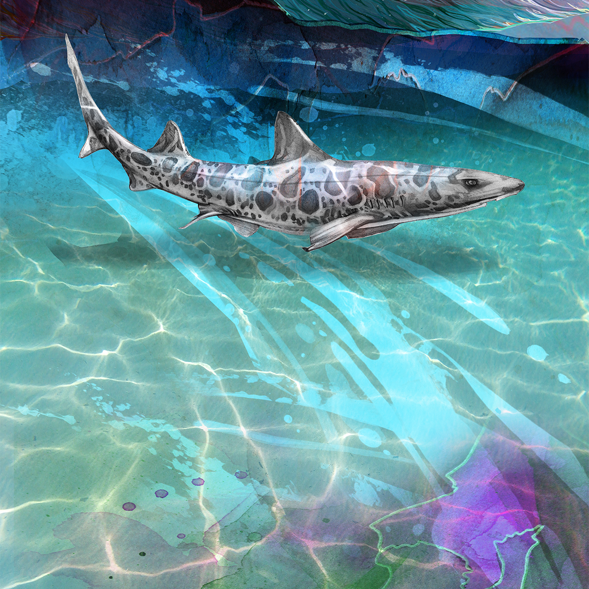 19/20 Maiden 101 Fine Art Print — Icelantic Skis