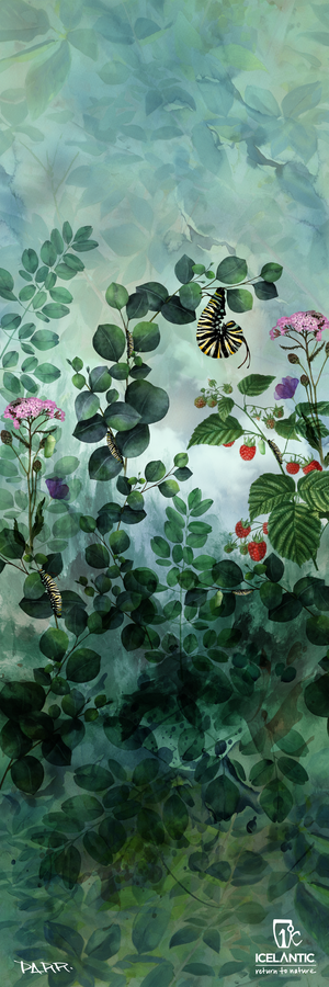 22/23 Maiden 91 Fine Art Print by Icelantic features a watercolor-style illustration of green foliage, pink flowers, and red berries, with a monarch butterfly, caterpillar, and chrysalis visible. Available as fine art prints or wrapped canvas giclee print for a stunning display. Pattie Paints and Icelantic logos appear at the bottom right.